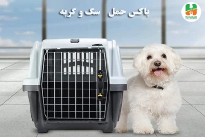 باکس حمل و نقل سگ
