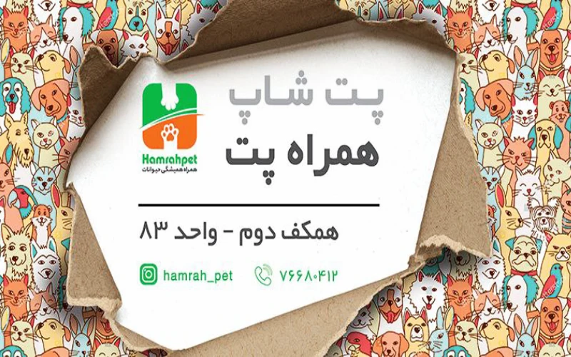 بهترین پت شاپ در شرق تهران