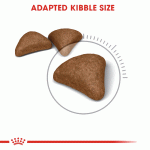 پوچ گربه رویال کنین مدل هربال با وزن ۸۵ گرم | RoyalCanin Cat Bundle DailyFood HairballCare