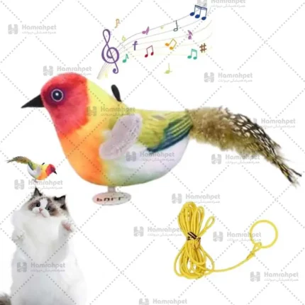 اسباب بازی گربه پرنده موزیکال