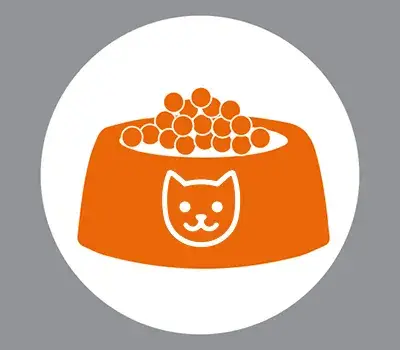 ظرف اب و غذا سگ و گربه