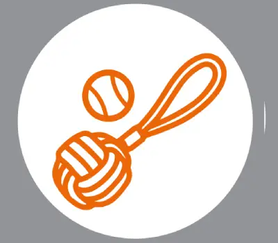 اسباب بازی سگ و گربه