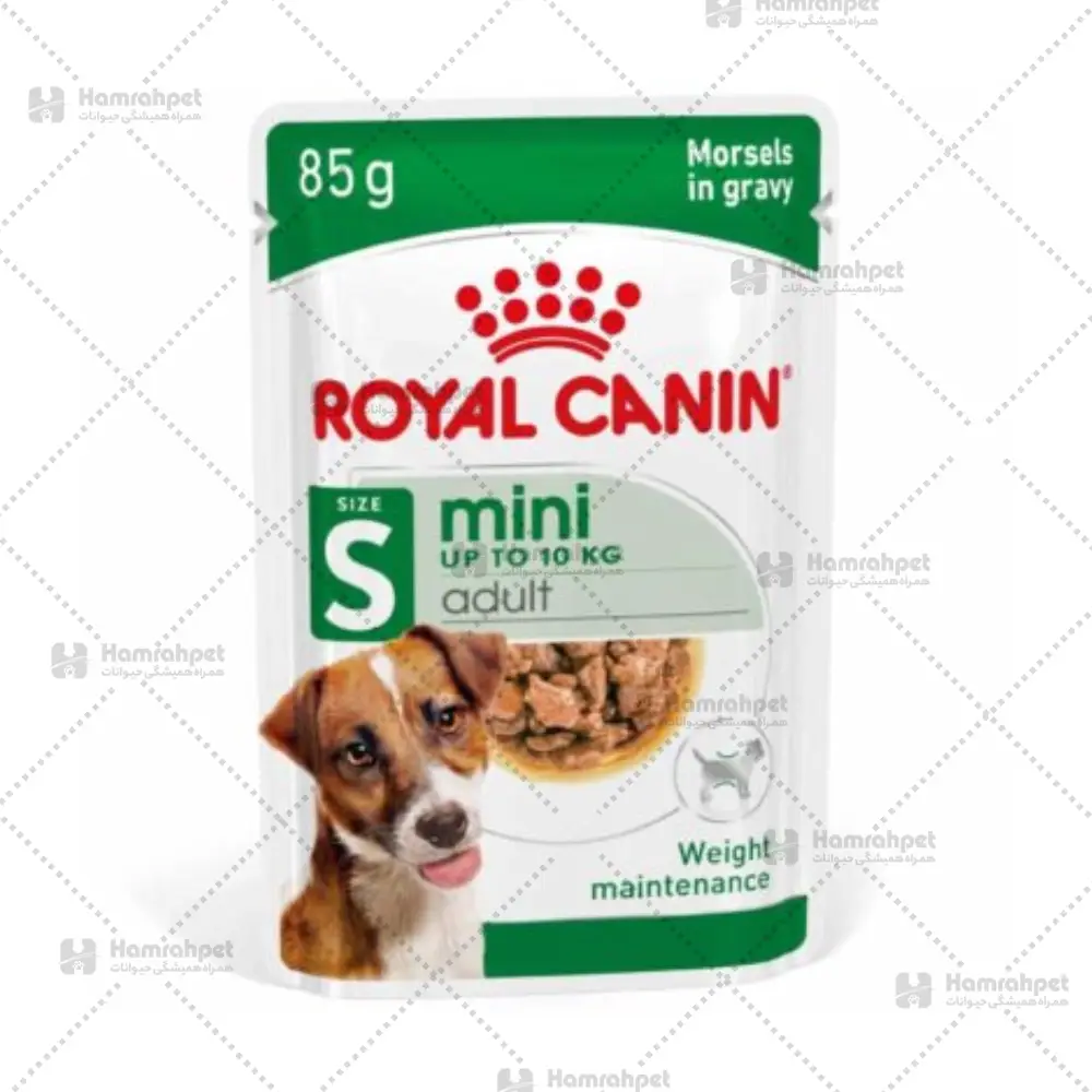 پوچ رویال مینی