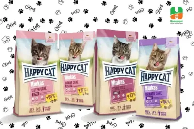 برند هپی کت برای گربه ها