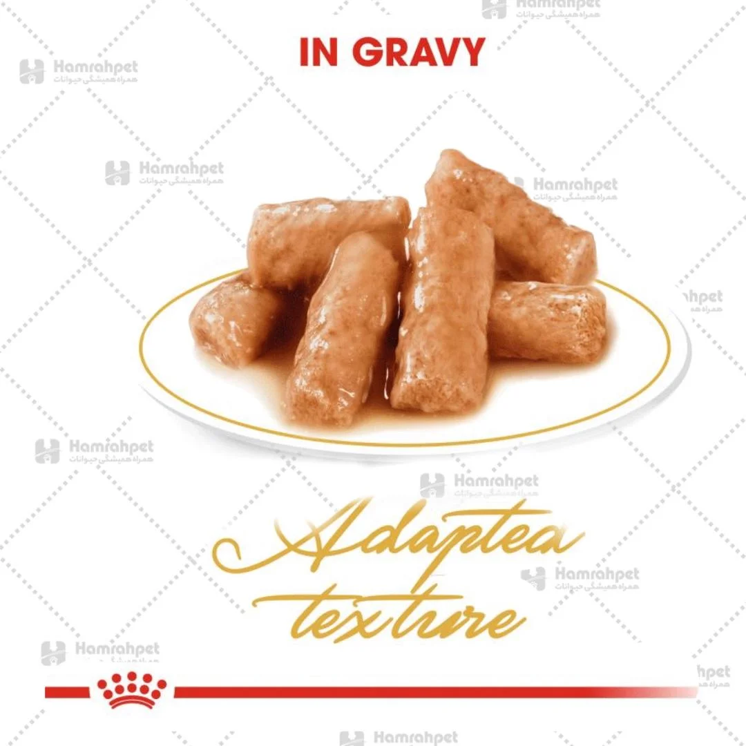 پوچ گربه بریتیش شورت هیر رویال کنین 85 گرم