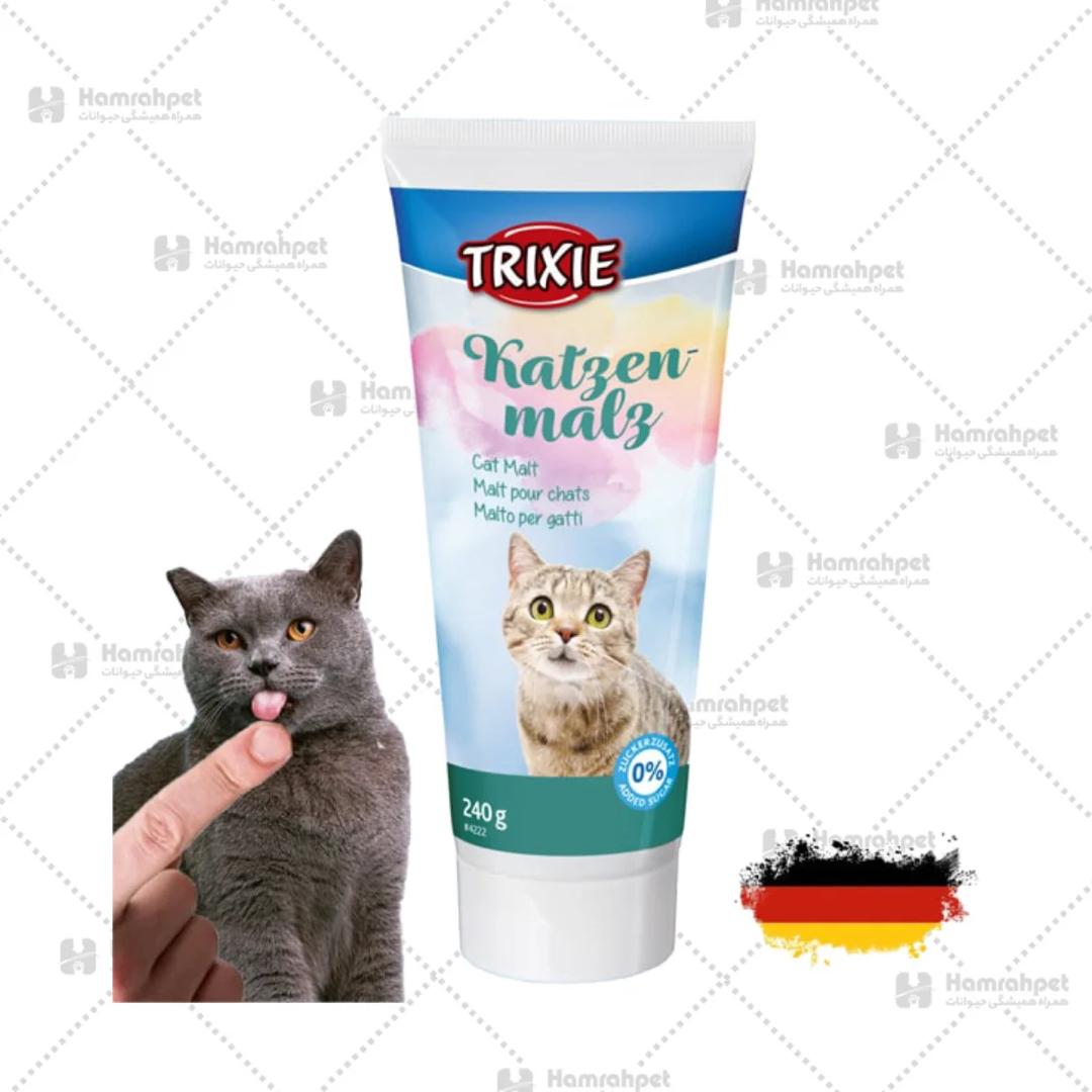خمیر مالت گربه تریکسی 240 گرم