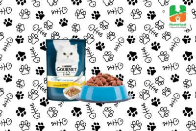 برند گورمت برای گربه و سگ