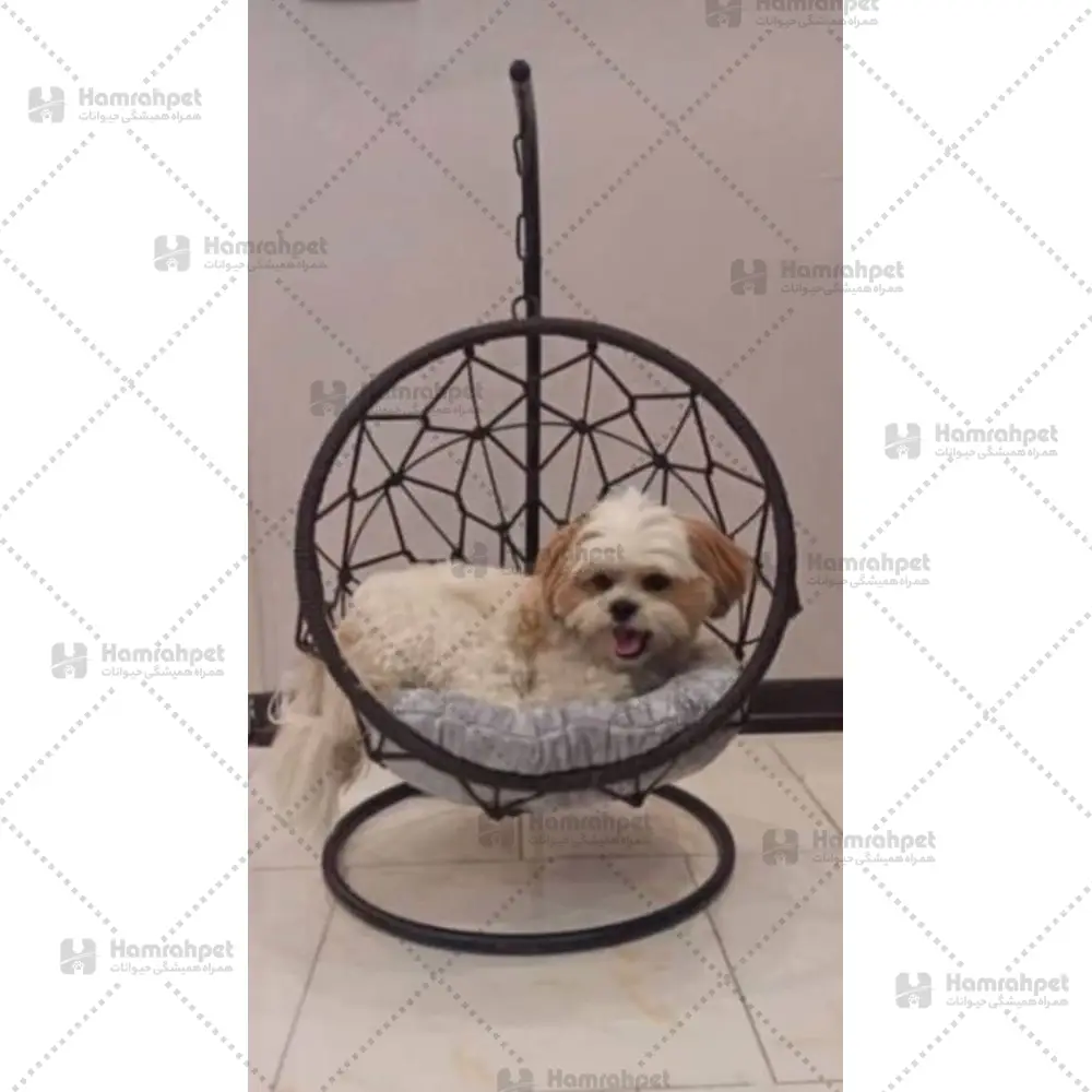 تاب ریلکسی سگ و گربه