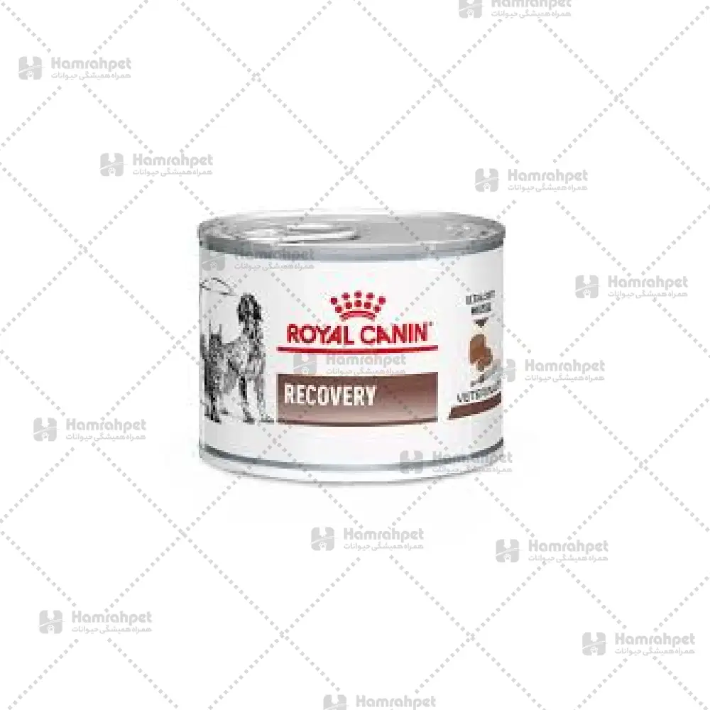 همراه-پت-لايه-باز-ptif-13.webp کنسرو ریکاوری سگ و گربه رویال کنین - تصویر 1