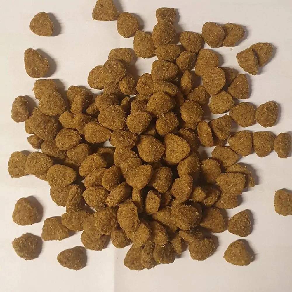 غذای خشک گربه جوسی کت با طعم گوشت