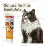 خمیر مولتی ویتامین گربه بیفار 100 گرم