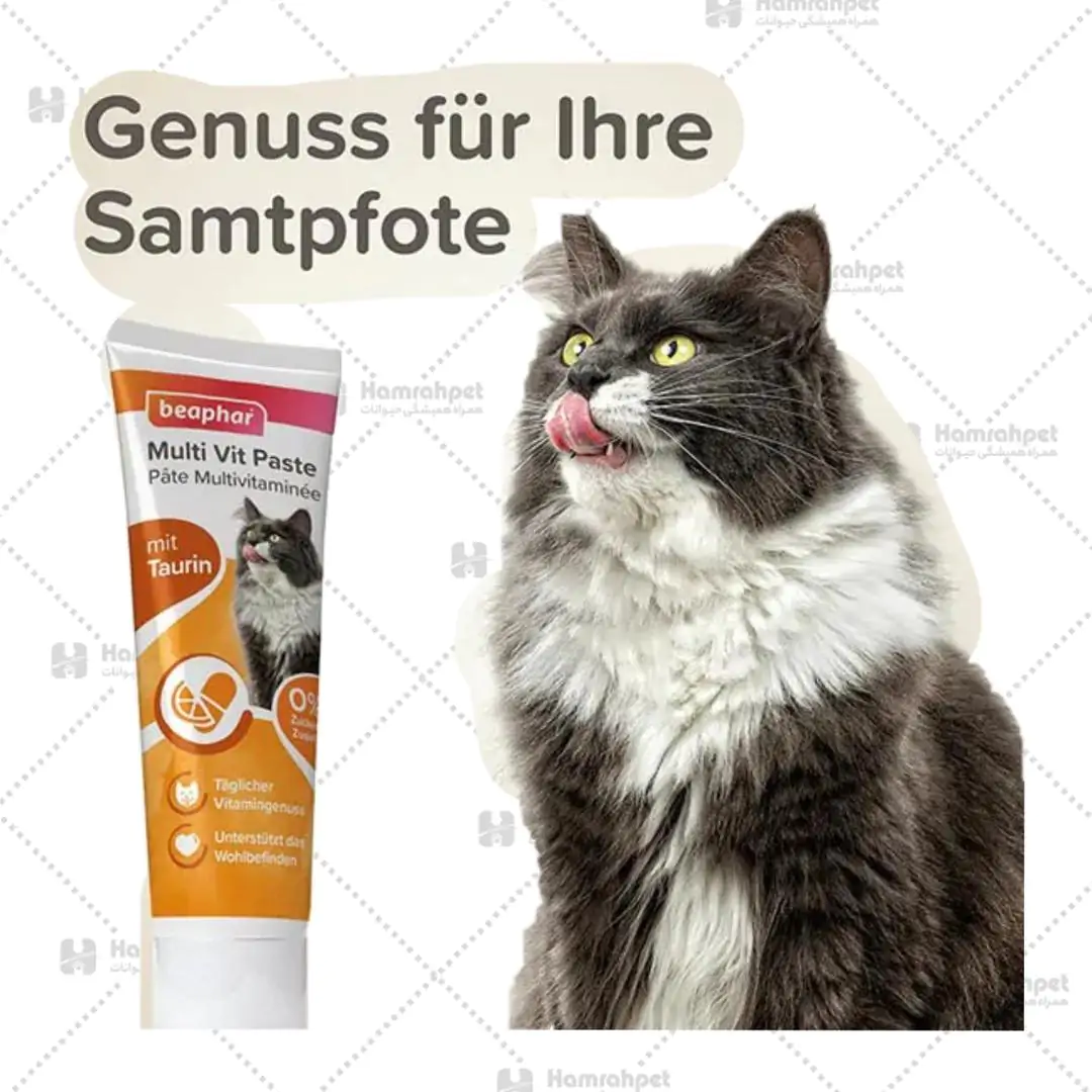 خمیر مولتی ویتامین گربه بیفار 100 گرم